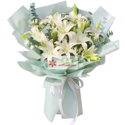 益阳6支白色多头百合，温馨的祝福