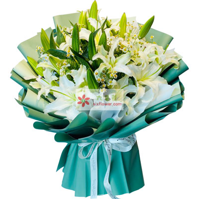 益阳8支白色多头百合洋甘菊，如潮的思念